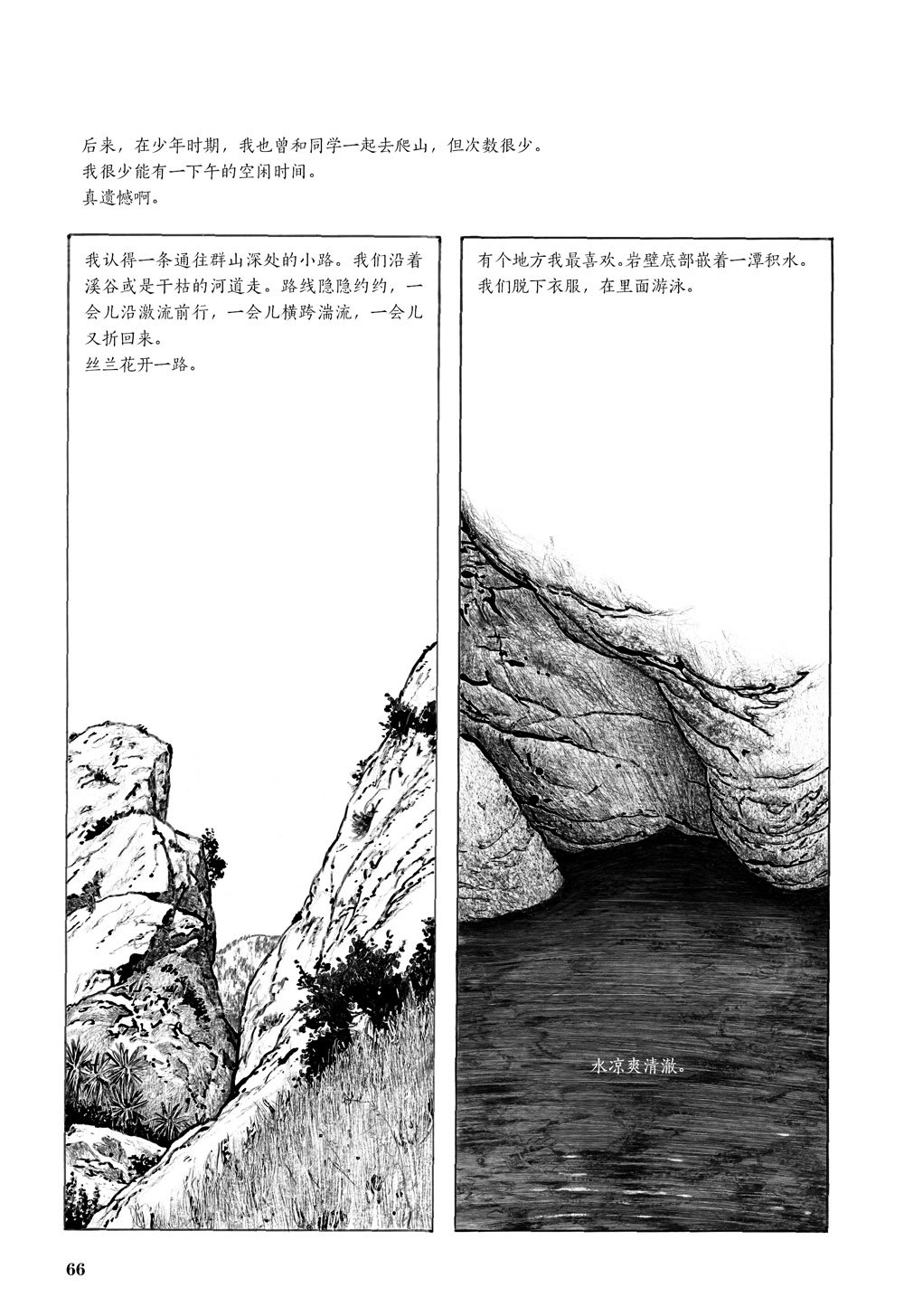 插图