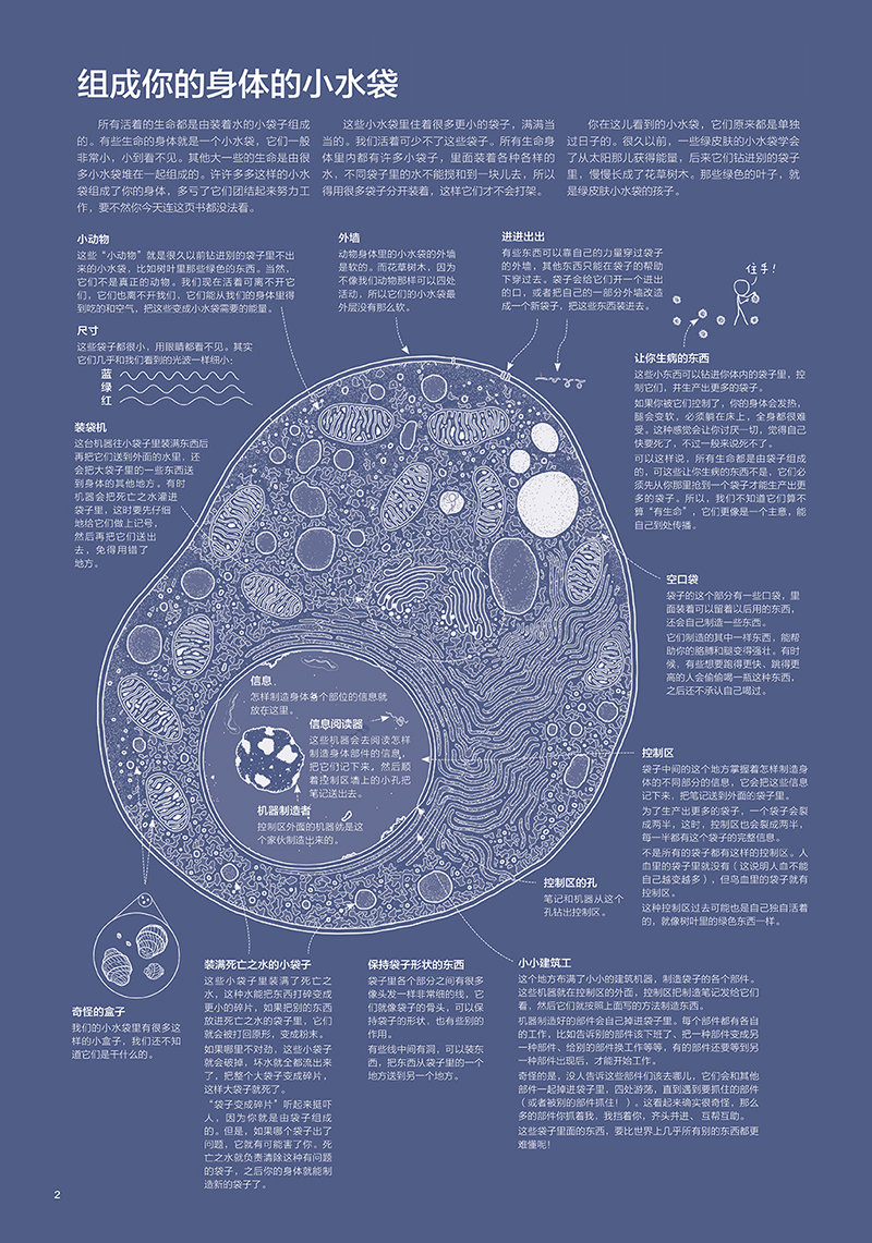 插图