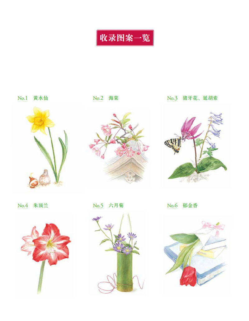 插图