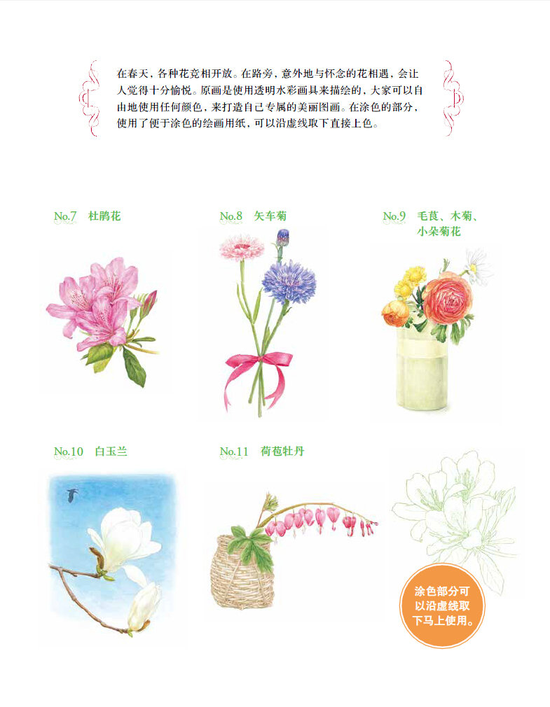 插图