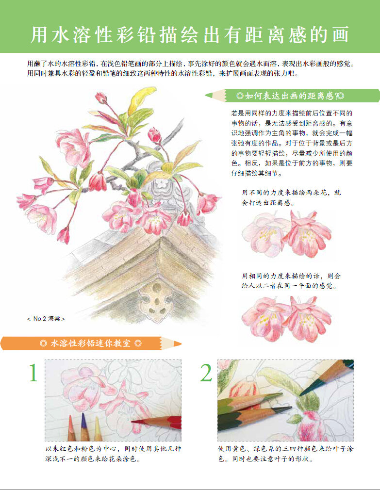 插图