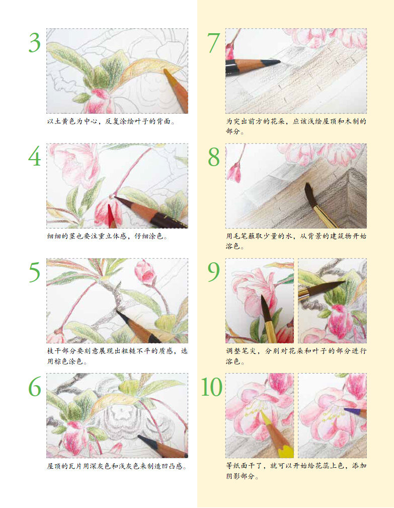 插图