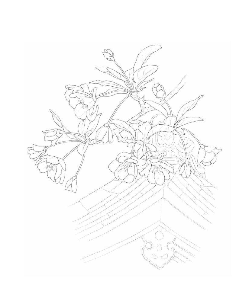 插图