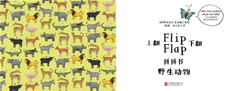插图