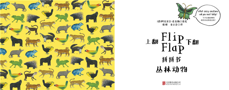 插图