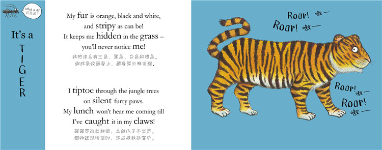 插图